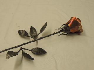 rose